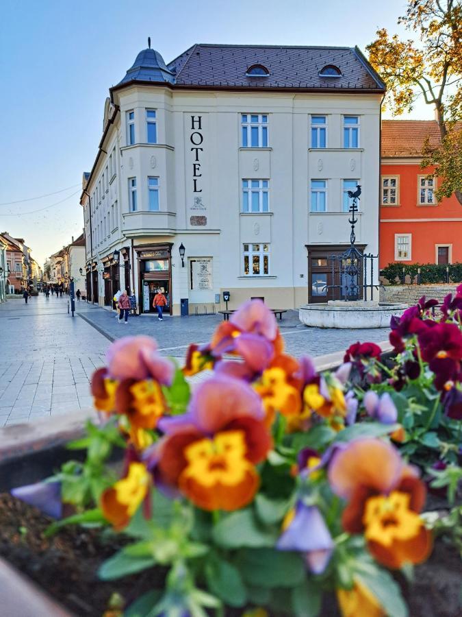 Hotel Domus Collis Gyor Exterior photo